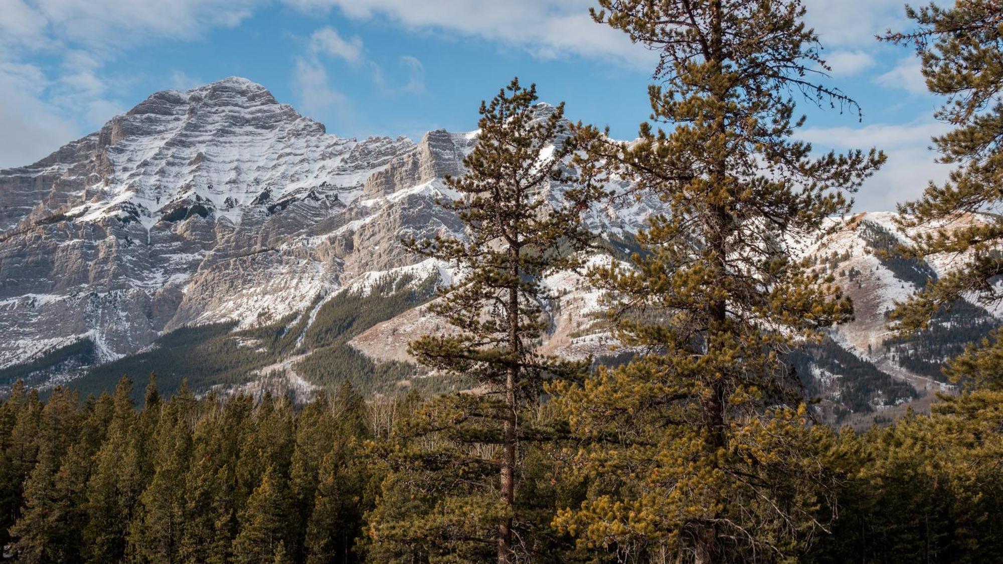 Skyridge Glamping Hotell Kananaskis Exteriör bild